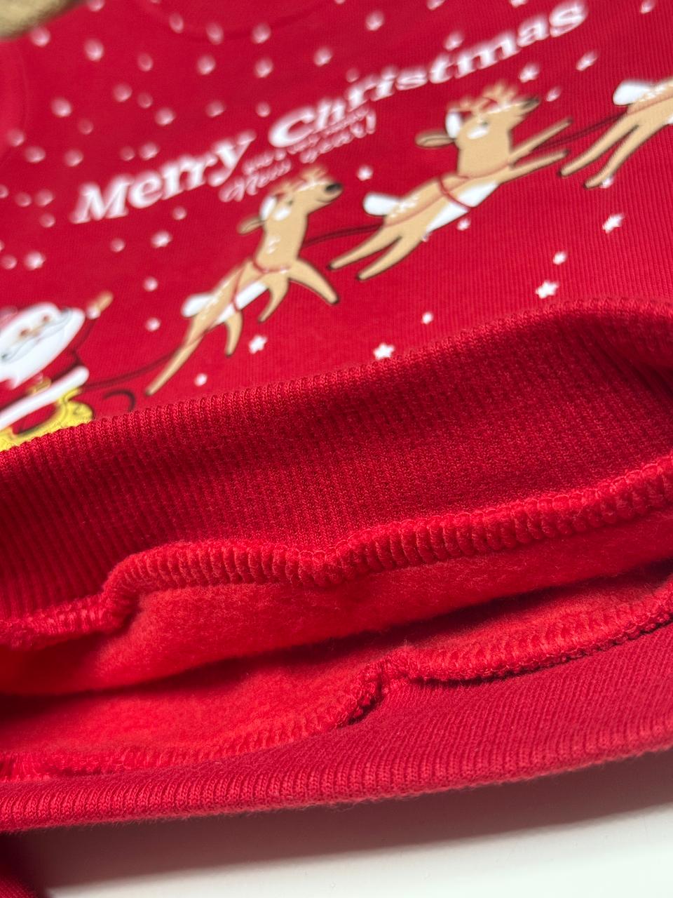 Santa and Reindeers Christmas Set