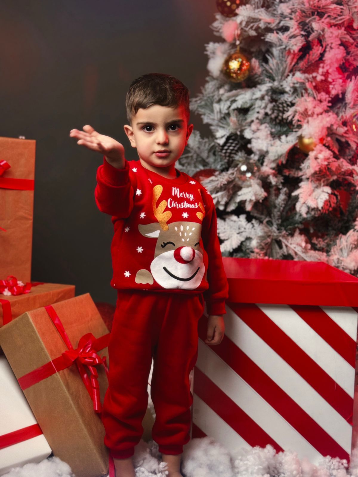 Reindeer Christmas Set