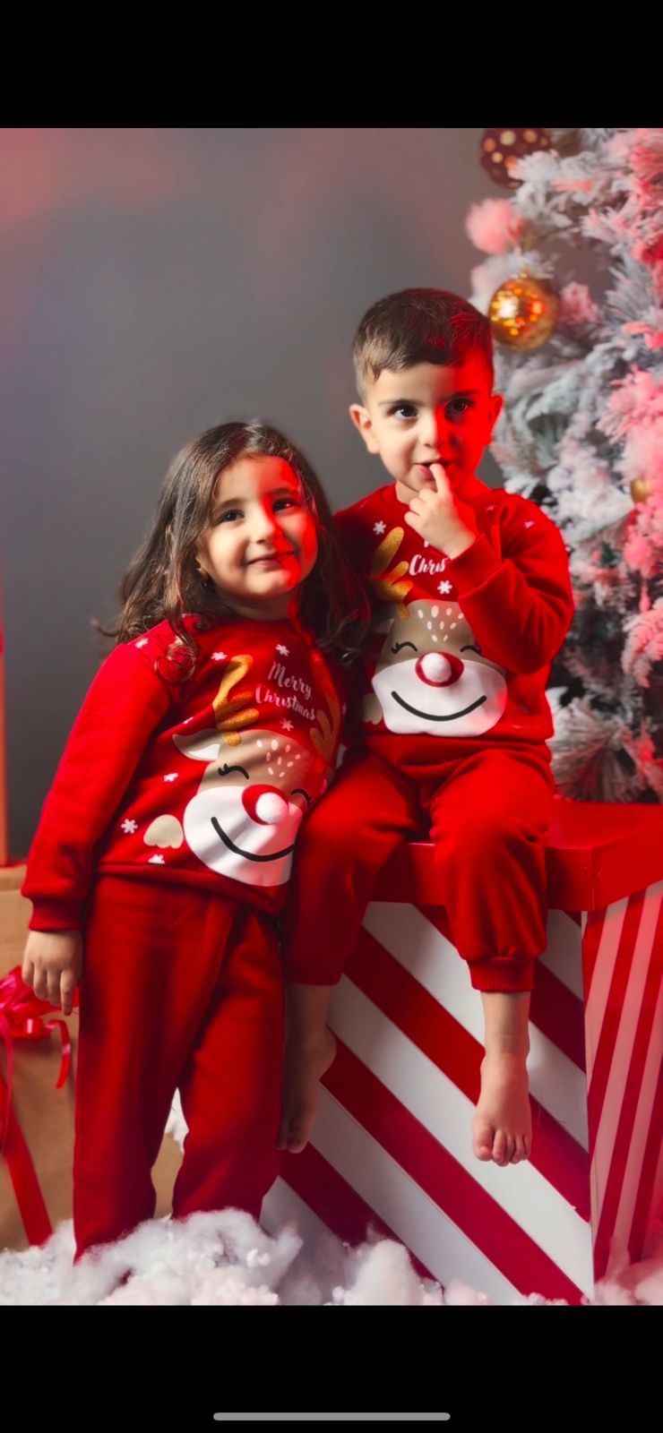 Reindeer Christmas Set