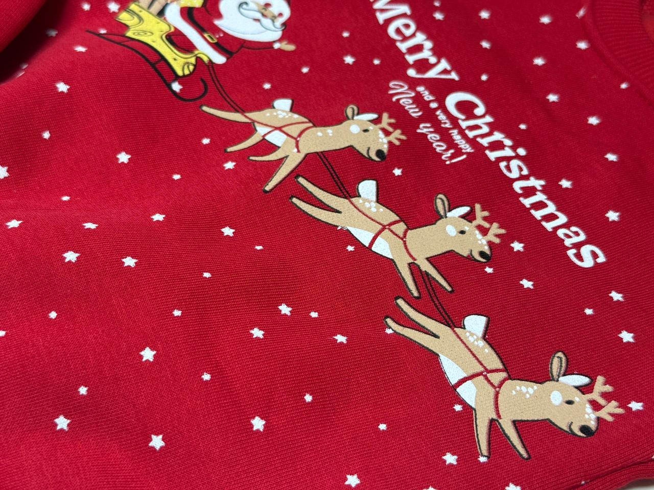 Santa and Reindeers Christmas Set