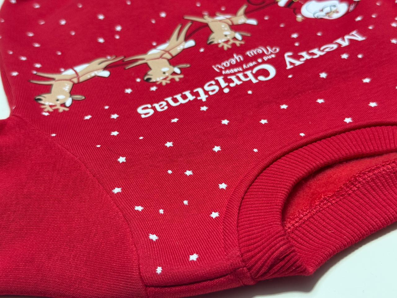 Santa and Reindeers Christmas Set