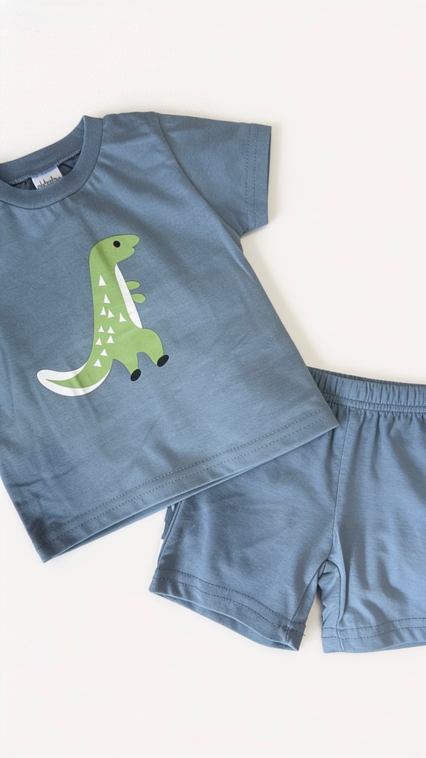 Little Dinosaur Baby Set