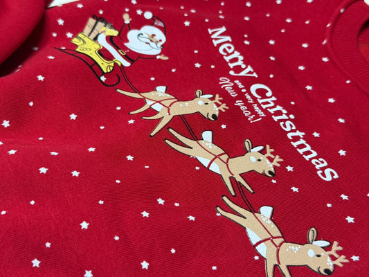 Santa and Reindeers Christmas Set