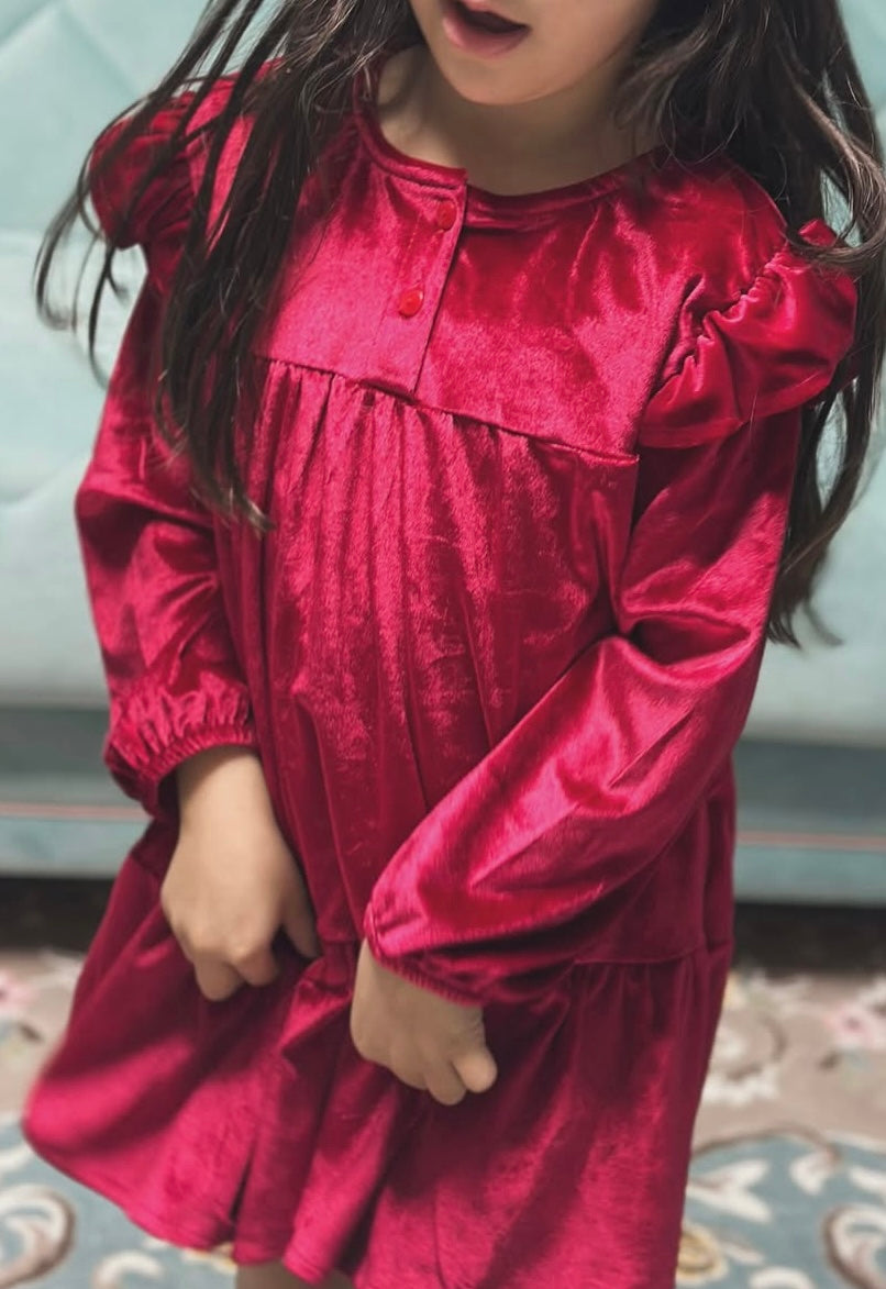 Zara Velvet Burgundy dress