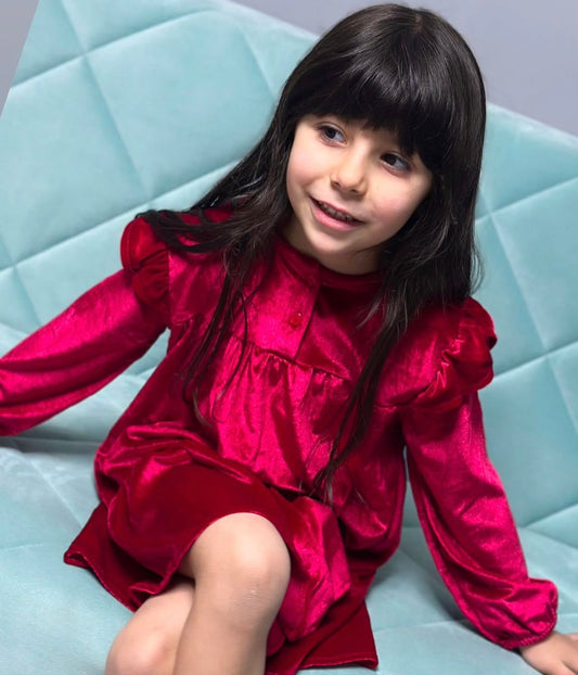 Zara Velvet Burgundy dress